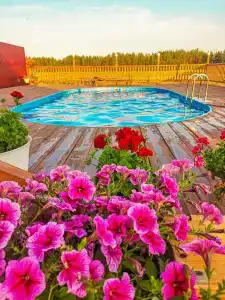 Фламинго - 1