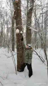 Кармалинская поляна - 35