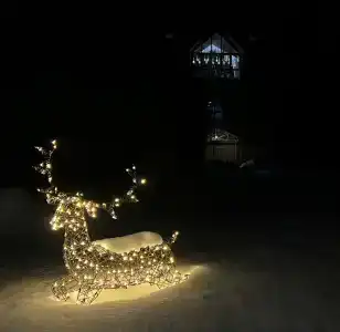 Березовка - 18