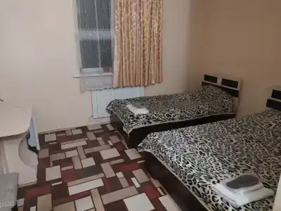 Фламинго - 16
