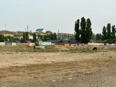 Жемчужина - 13