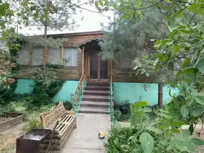 Астра - 41