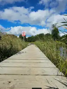 Родная Усадьба - 55