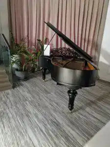 Граф Толстой - 85