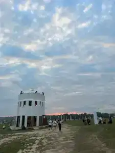 Signal - 26