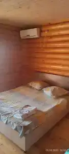 Гвоздика - 33
