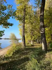 Полянка - 25