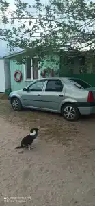 База отдыха у Петровича - 11