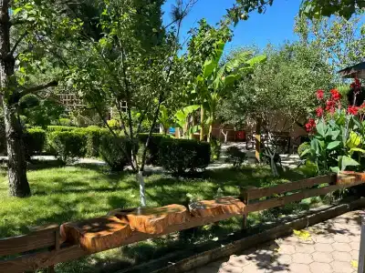 Garden - 3