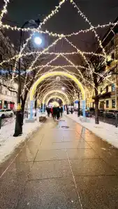 Бельведер Невский - 9