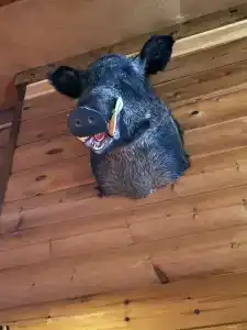 Огни Имандры - 97