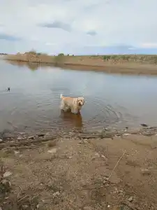 На Вазузу - 27