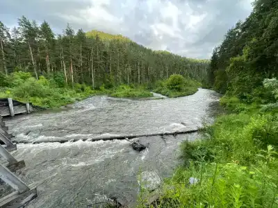 Мульта-Центр - 1