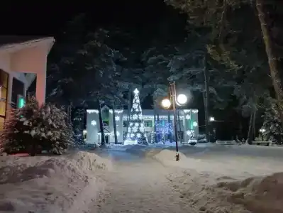 Энергетик - 49