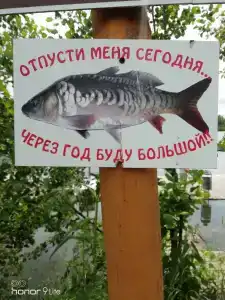 Вольный - 42