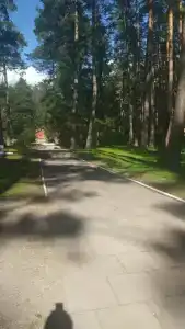 Салют - 5