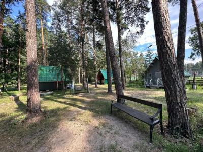 Медведь - 5