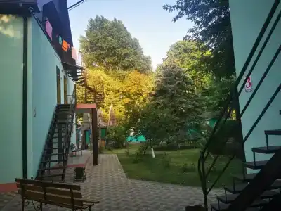 Снегири - 40