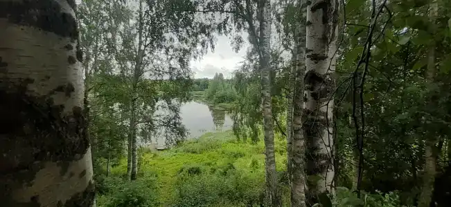 Троицкий - 7