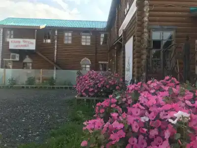 Еда из деревни - 3