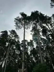 Старая пристань - 33