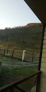 Березовая роща - 14