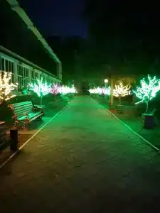 Гостиничный комплекс Алмаз - 5