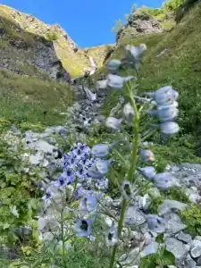 Auadkhara - 18