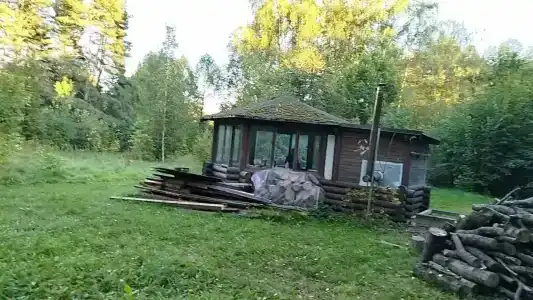 Березки - 29