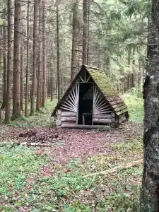 Раздобарино - 18