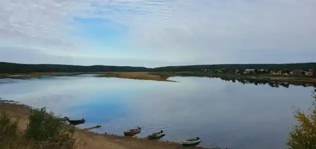 приезжих - 3