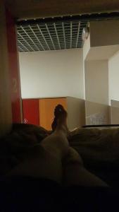 Лисья Нора - 61