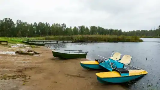 Подворье - 35