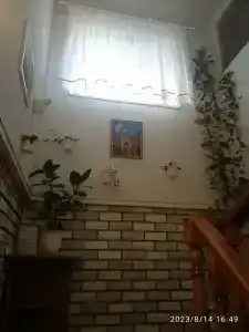 Мустанг - 38