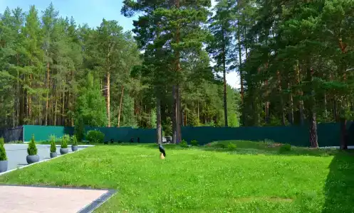 Лесная Жемчужина - 9