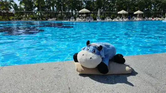 Sunmelia Beach Resort & Spa-All Inclusive - 43