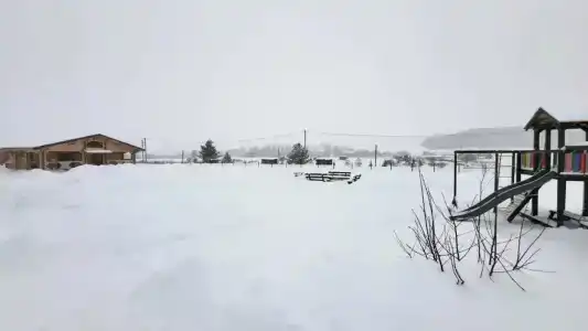 Шерья - 14