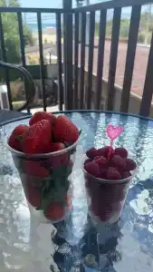 Авдаллини - 56