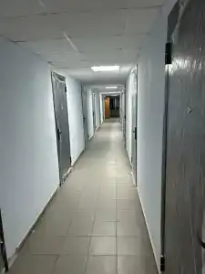Орион - 1