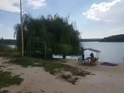 Вишневый сад - 0