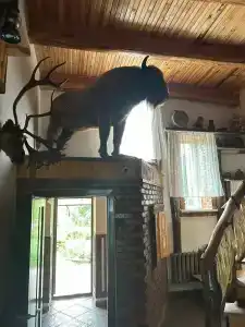 Панский сад - 74