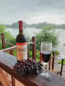 Алешкины пруды - 36