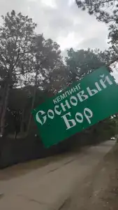 Сосновый бор - 9