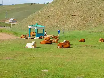 Загородный дом - 24