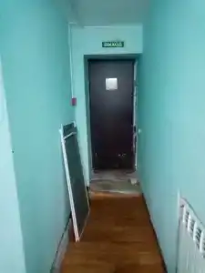 Багира - 16