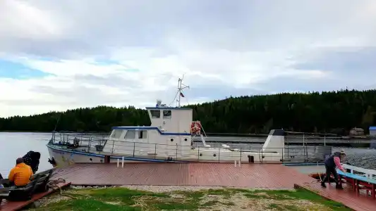 Нереис - 37