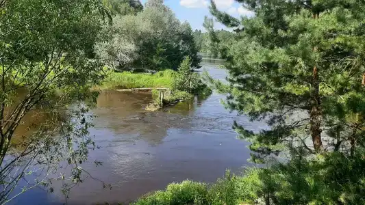 Поляна сказок - 45