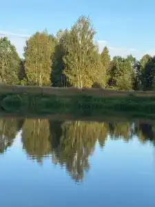 Березина - 21