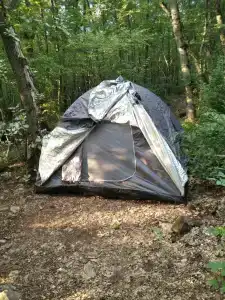 Скелепарк - 87
