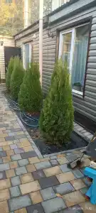 Эталон - 12